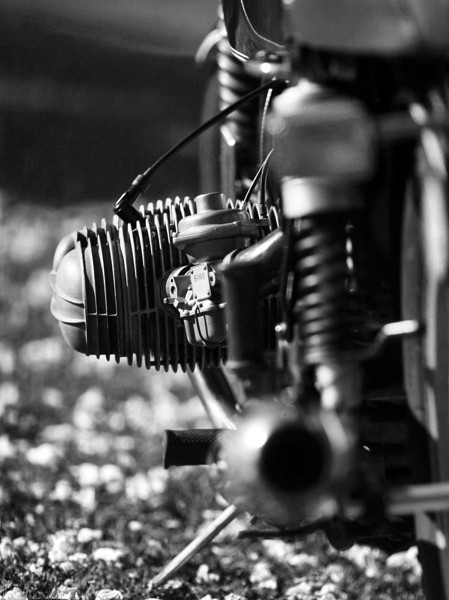 IMAGE: http://wadjelaphotography.smugmug.com/photos/396257625_bh3vt-L.jpg