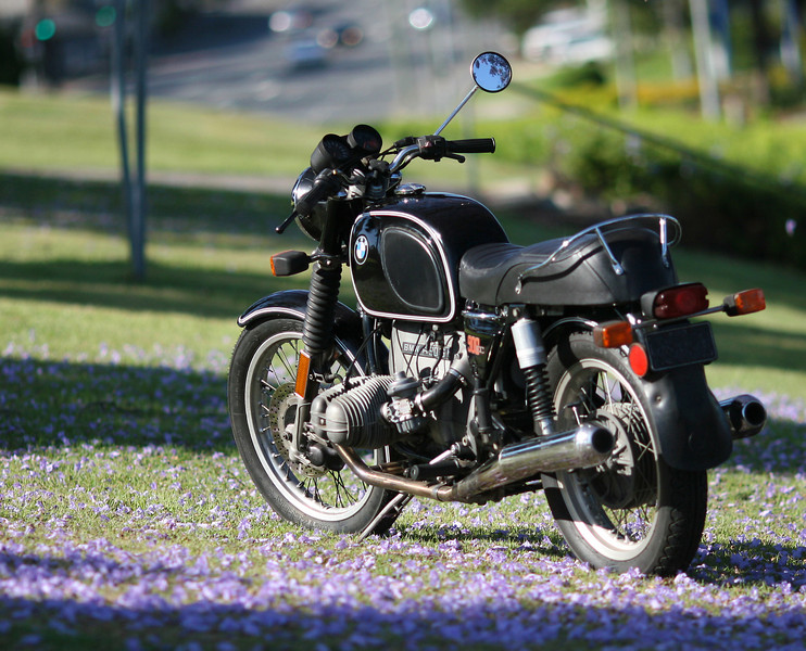 IMAGE: http://wadjelaphotography.smugmug.com/photos/396259213_mmoXk-L.jpg