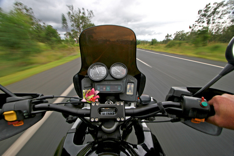 IMAGE: http://wadjelaphotography.smugmug.com/photos/459051775_Jpu3R-L.jpg