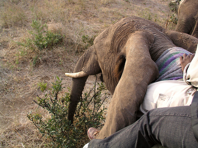 IMAGE: http://wadjelaphotography.smugmug.com/photos/6598111_gnkYY-L.jpg