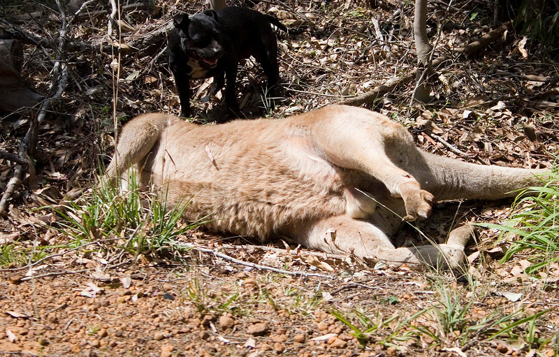 IMAGE: http://wadjelaphotography.smugmug.com/photos/98028491_e8heb-L.jpg